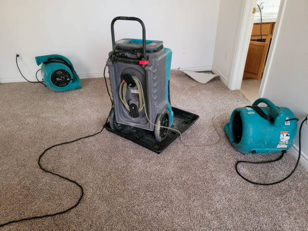 Best Mold removal after water damage  in Greencastle, IN