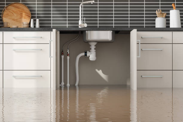 Best Residential water damage restoration  in Greencastle, IN
