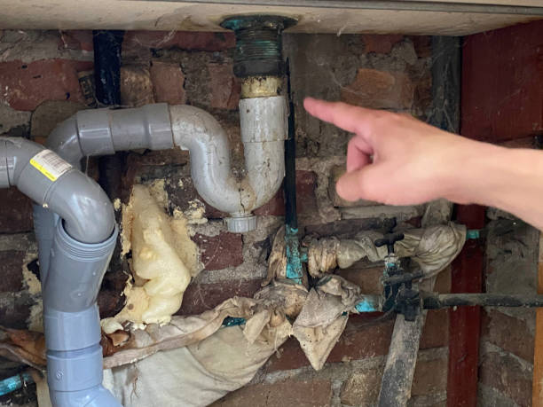 Best Professional water damage repair  in Greencastle, IN