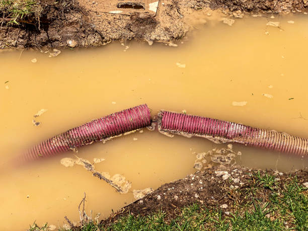 Best Water damage mitigation services  in Greencastle, IN